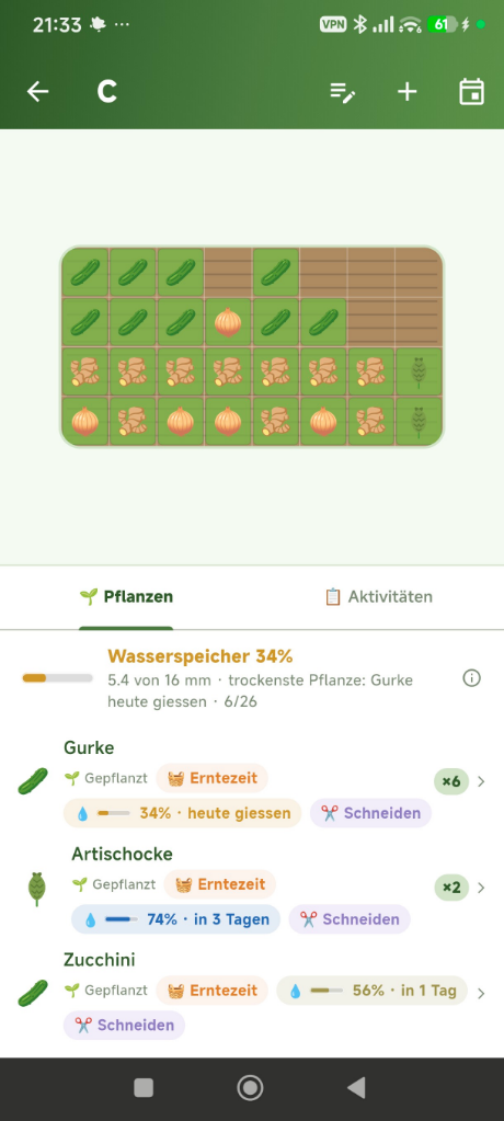 Ein Beet mit Zucchini und Kürbis, mit Giess- und Reifestand je Pflanze