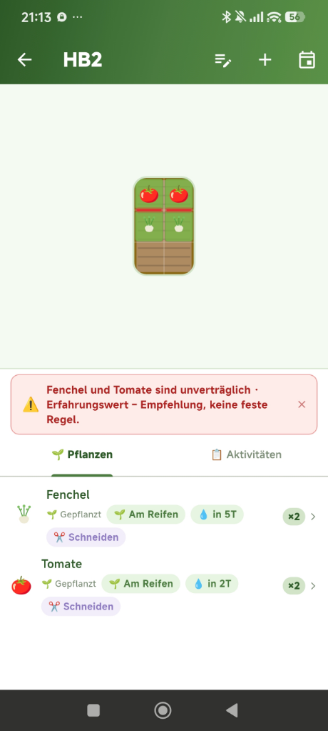 Warnung im Hochbeet: Fenchel und Tomate sind unverträglich