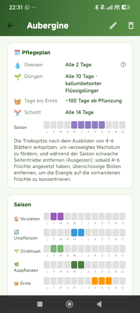 Pflanzen-Wiki: Pflegeplan und Saisonkalender einer Aubergine