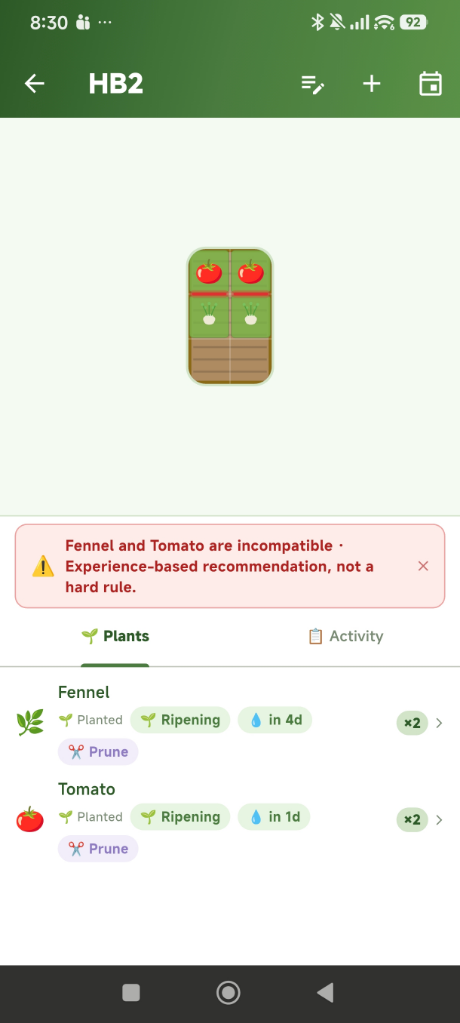 A warning in the raised bed: fennel and tomato are incompatible