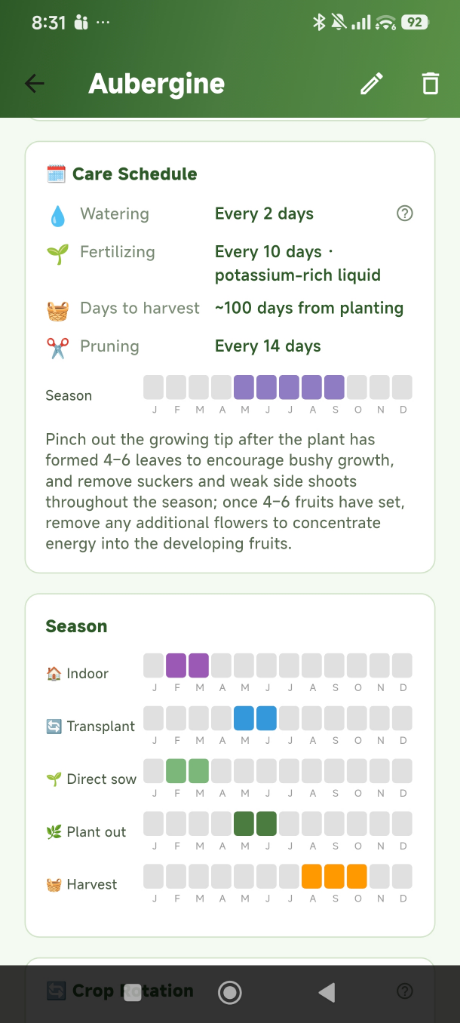 Plant wiki: care schedule and season calendar for an aubergine